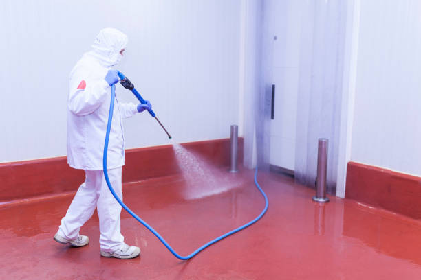 Best Pool Deck Cleaning  in Kodi, AK