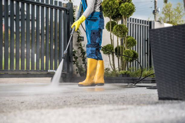 Best Roof Washing  in Kodi, AK