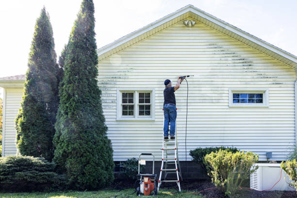 Best Post-Construction Pressure Washing  in Kodi, AK